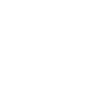Bajo Mueller Logo